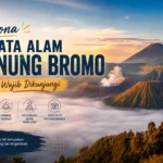 wisata-gunung-bromo-terbaru-2026-harga-tiket-sunrise-dan-spot-terbaik